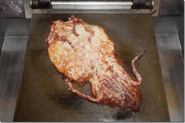 【公式】観光農園花ひろば （いちご狩り/ひまわり/松葉ボタンなどの花が楽しめる） » 【予告】豊半のイカの姿焼き「キッチンカー」がやってきます