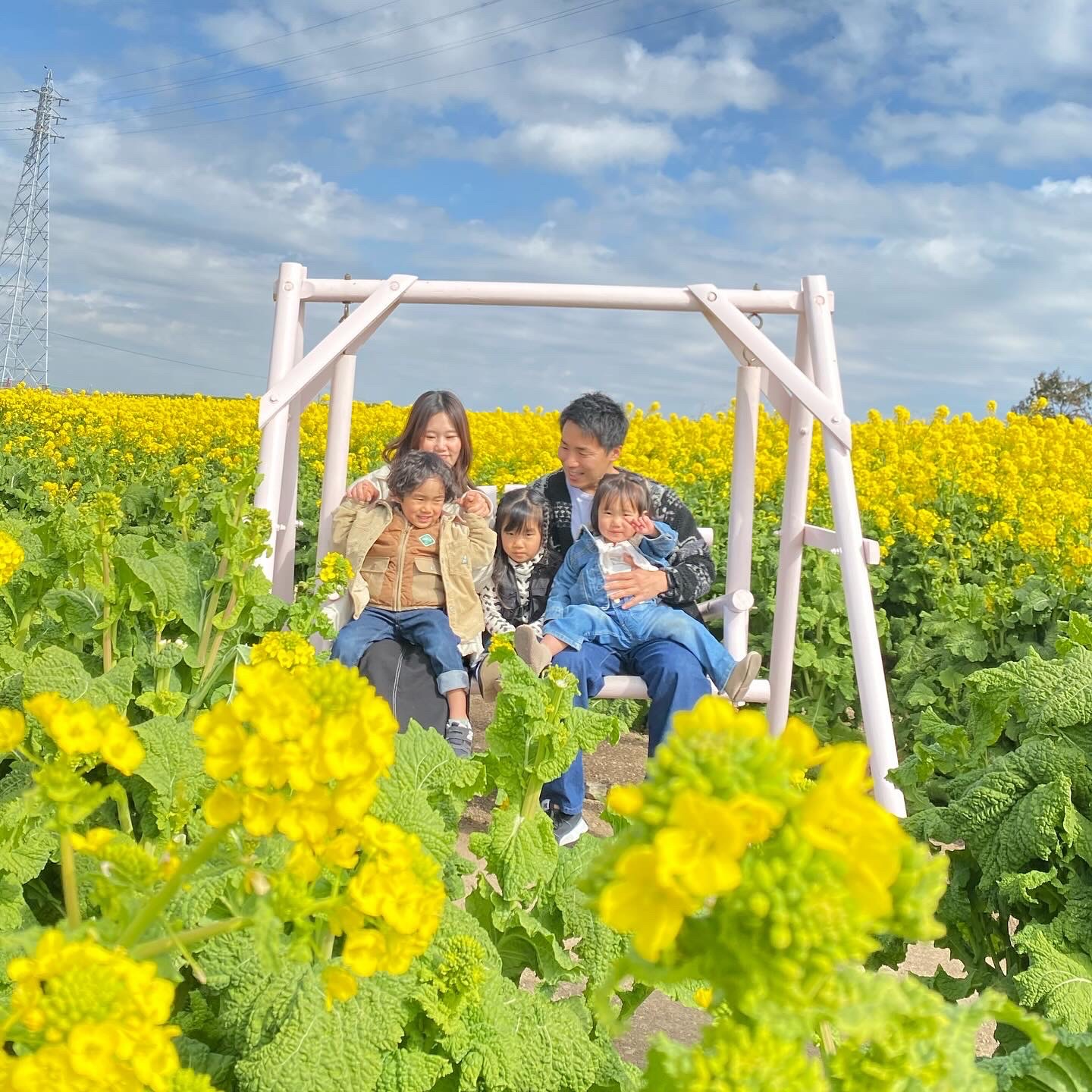 【公式】観光農園花ひろば （いちご狩り/ひまわり/松葉ボタンなどの花が楽しめる） » 満開の菜の花畑で春を感じてました